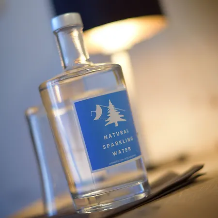 מלון Waldruhe 3*