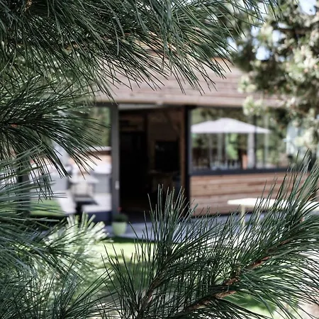 Waldruhe Hotel